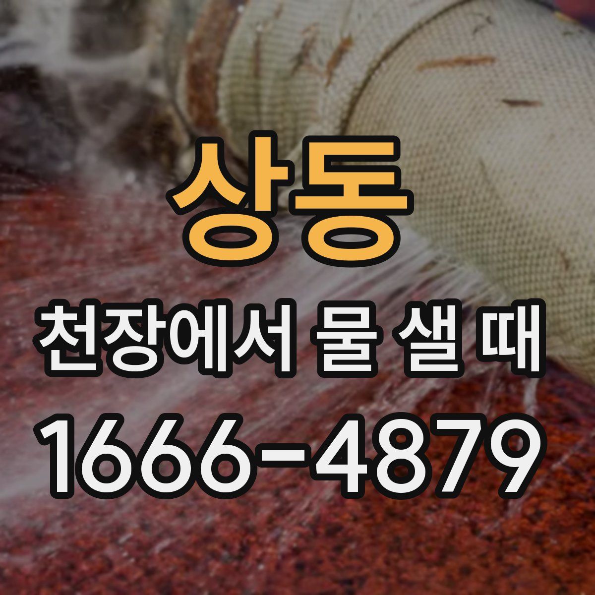 상동 천장에서 물 샐 때