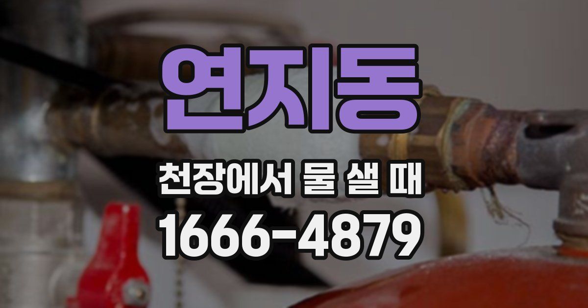 연지동 천장에서 물 샐 때