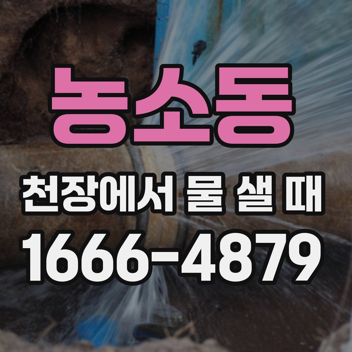 농소동 천장에서 물 샐 때
