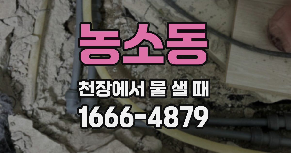 농소동 천장에서 물 샐 때