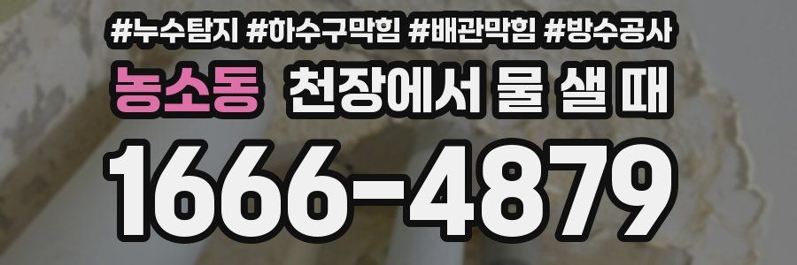농소동 천장에서 물 샐 때