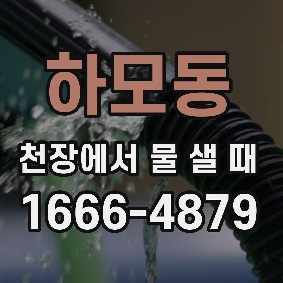하모동 천장에서 물 샐 때