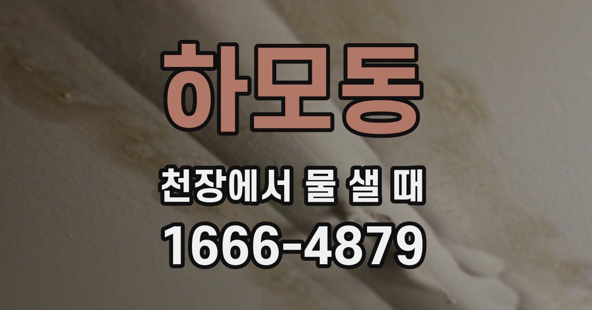 하모동 천장에서 물 샐 때