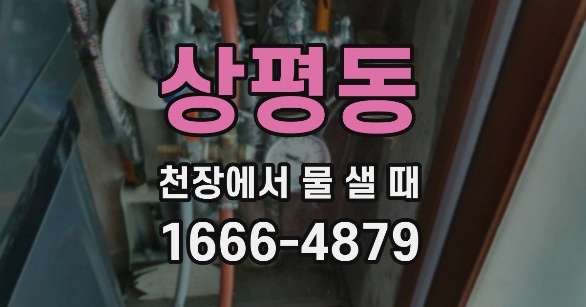 상평동 천장에서 물 샐 때