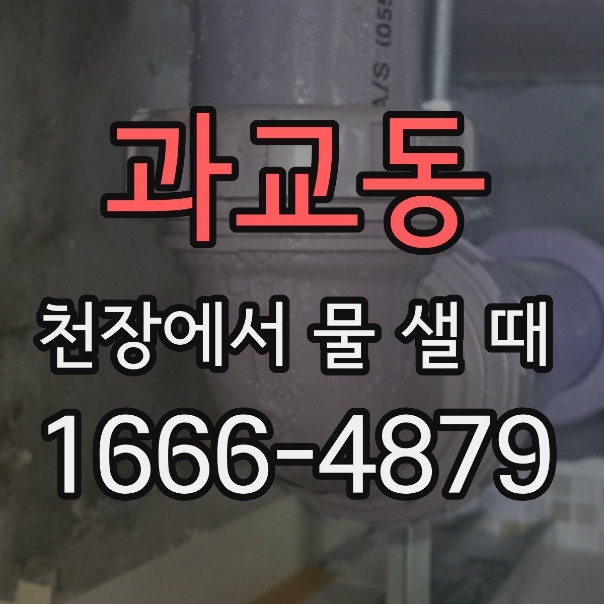 과교동 천장에서 물 샐 때