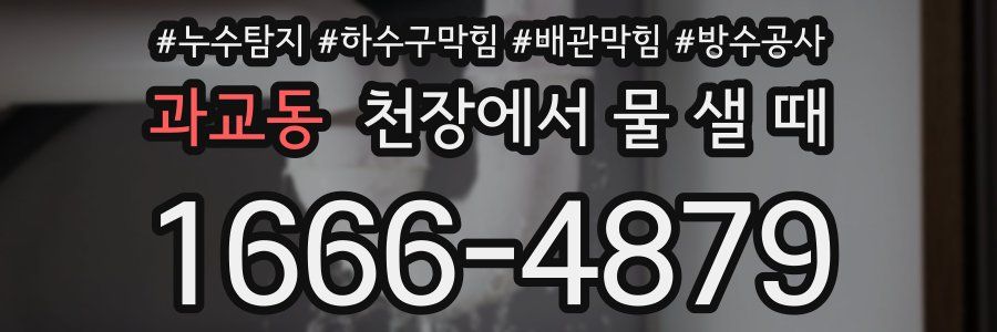 과교동 천장에서 물 샐 때