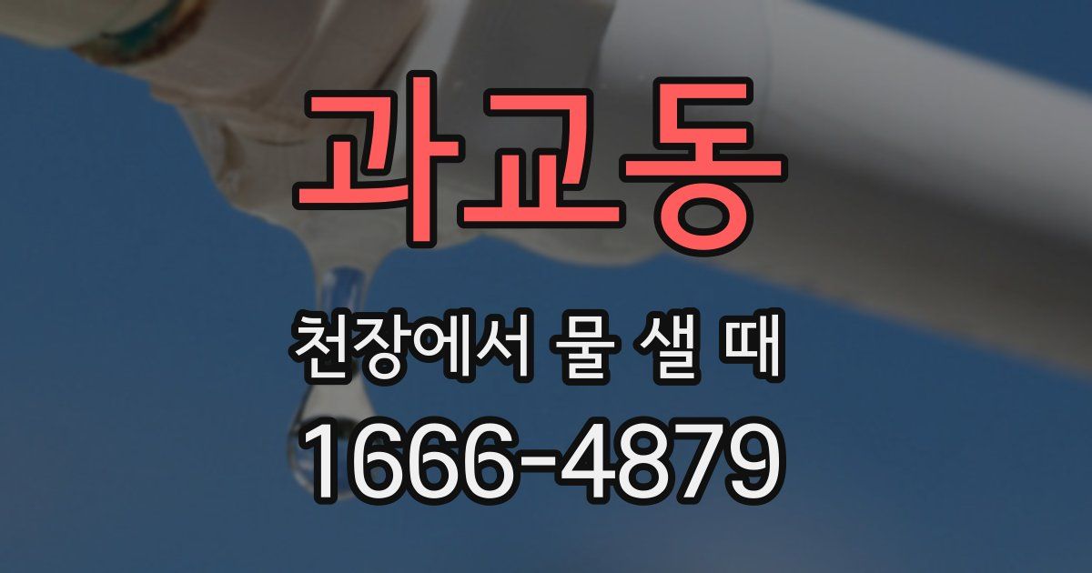 과교동 천장에서 물 샐 때