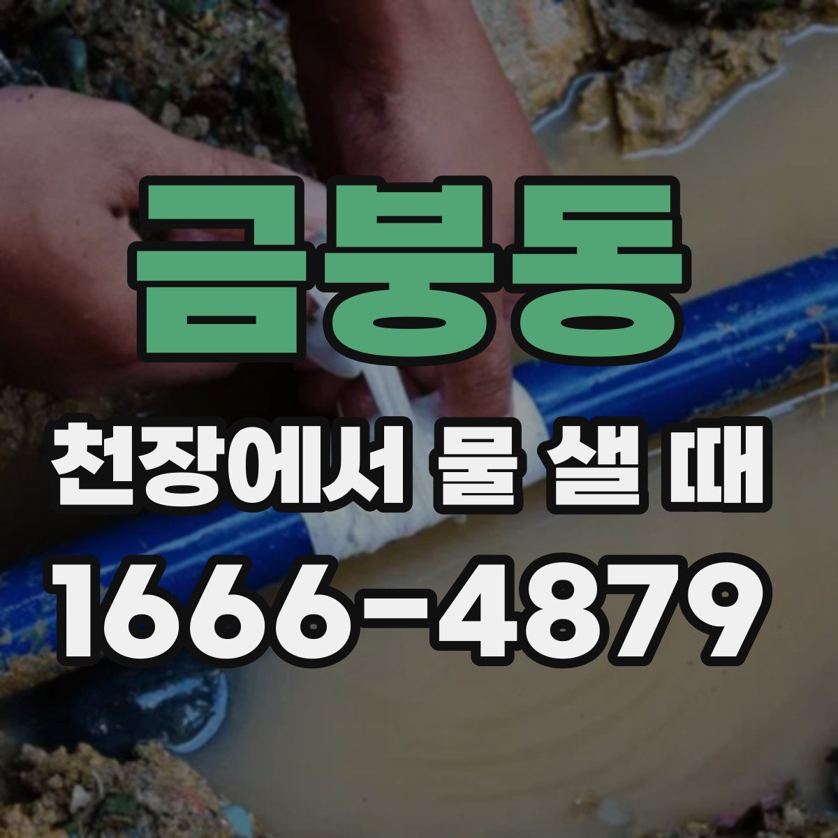 금붕동 천장에서 물 샐 때