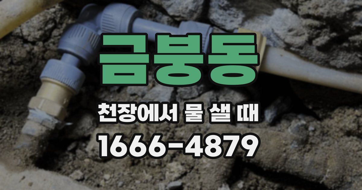 금붕동 천장에서 물 샐 때