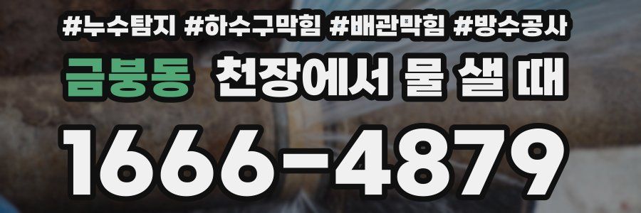 금붕동 천장에서 물 샐 때