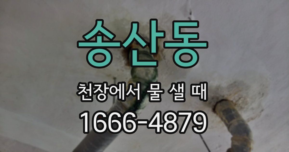 송산동 천장에서 물 샐 때