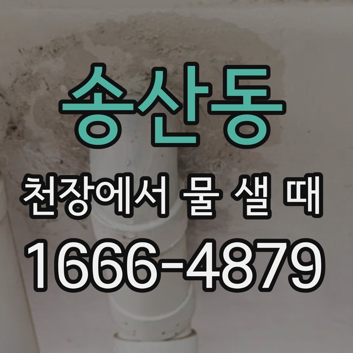 송산동 천장에서 물 샐 때