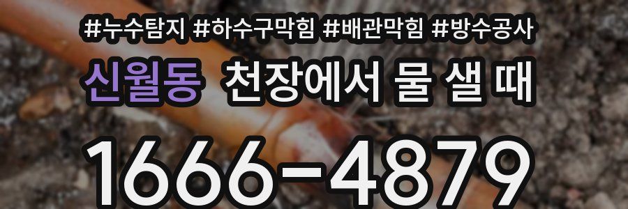 신월동 천장에서 물 샐 때