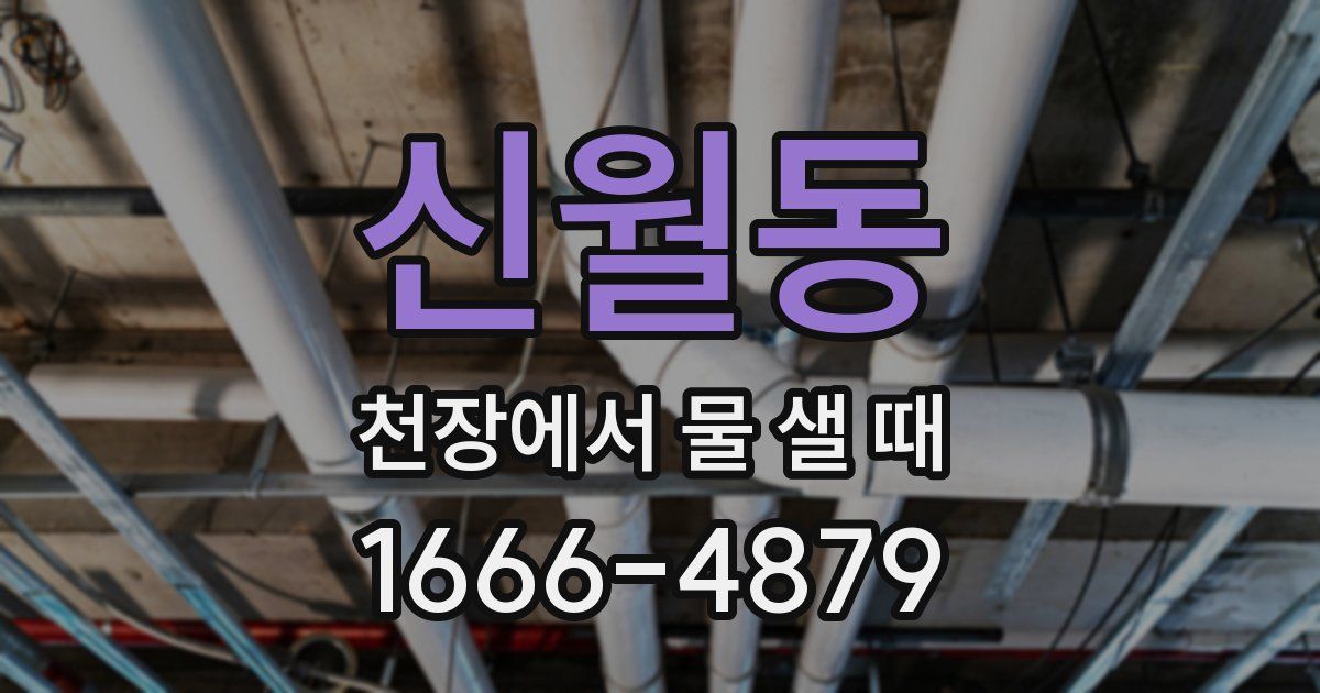 신월동 천장에서 물 샐 때