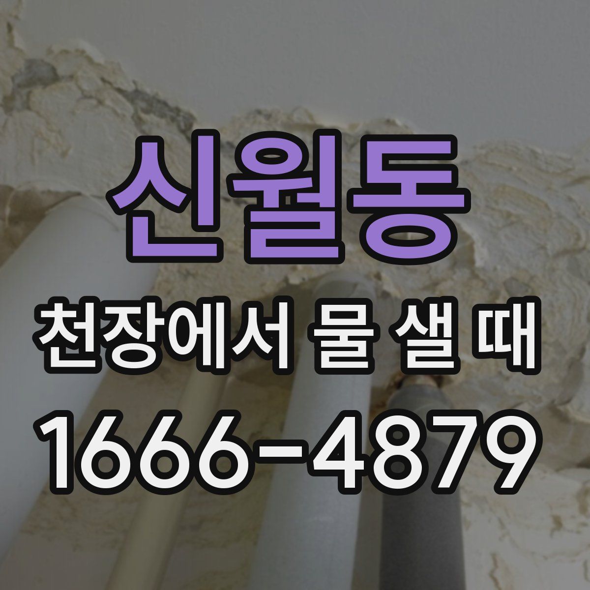 신월동 천장에서 물 샐 때