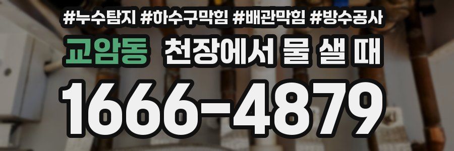 교암동 천장에서 물 샐 때