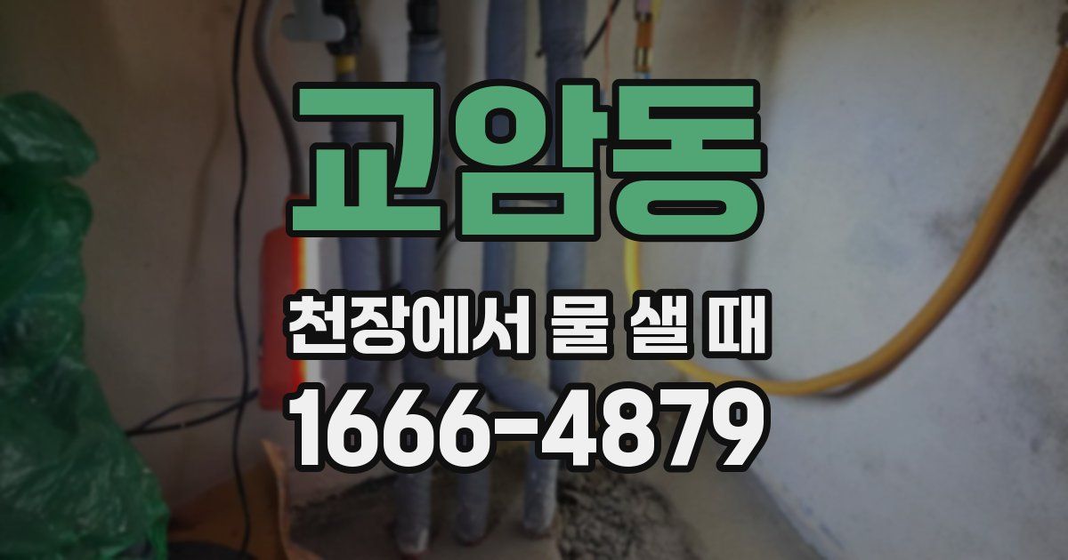 교암동 천장에서 물 샐 때