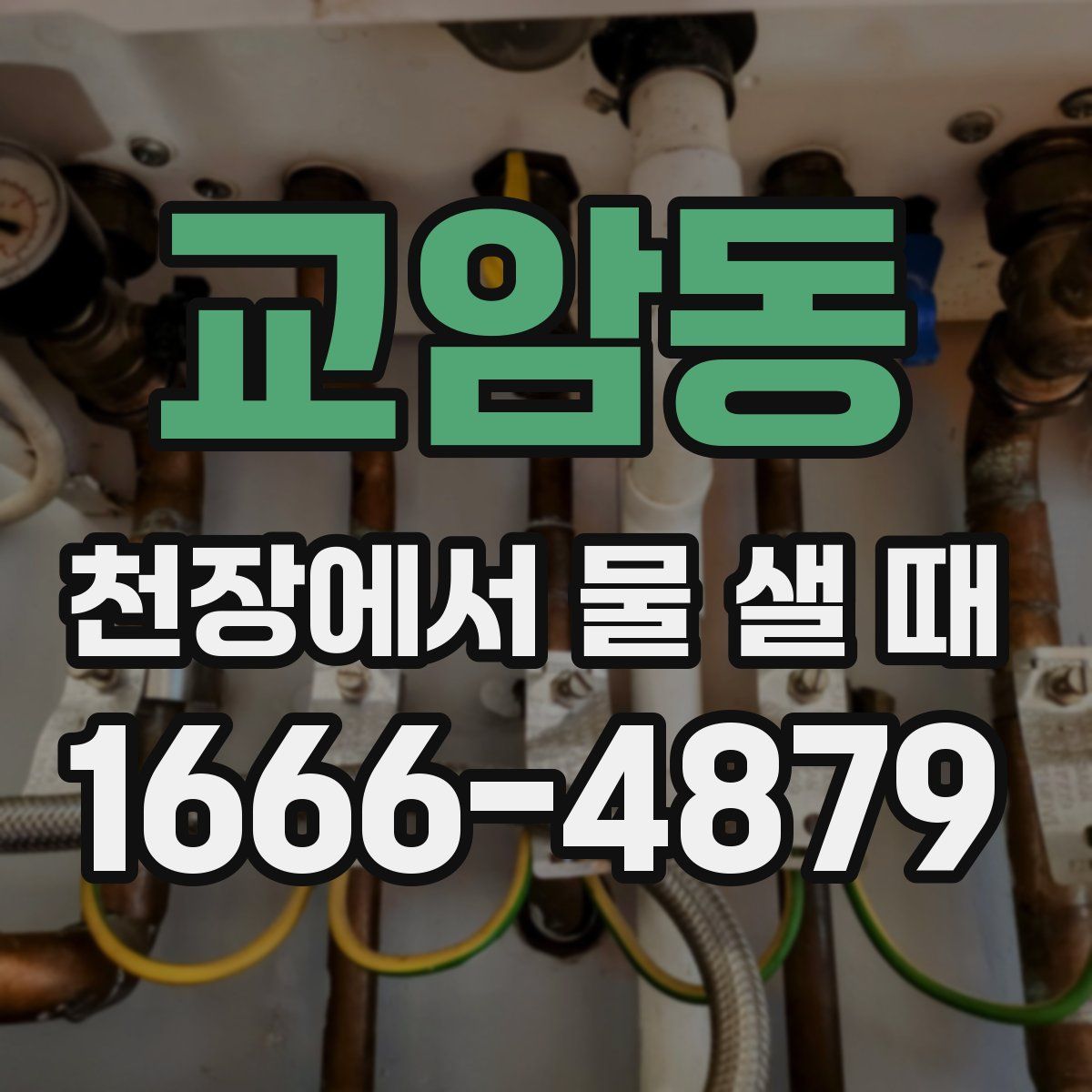 교암동 천장에서 물 샐 때