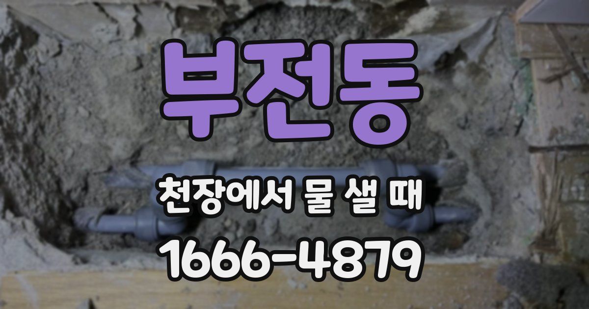 부전동 천장에서 물 샐 때