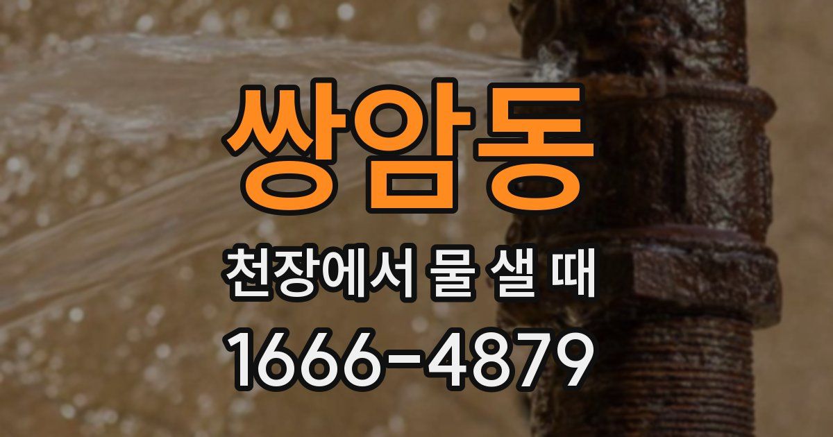 쌍암동 천장에서 물 샐 때