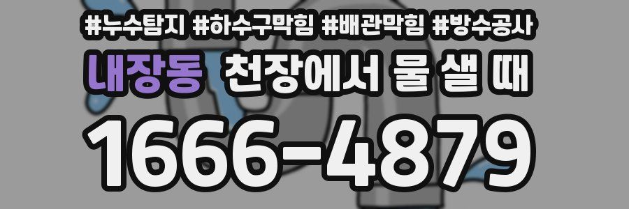 내장동 천장에서 물 샐 때
