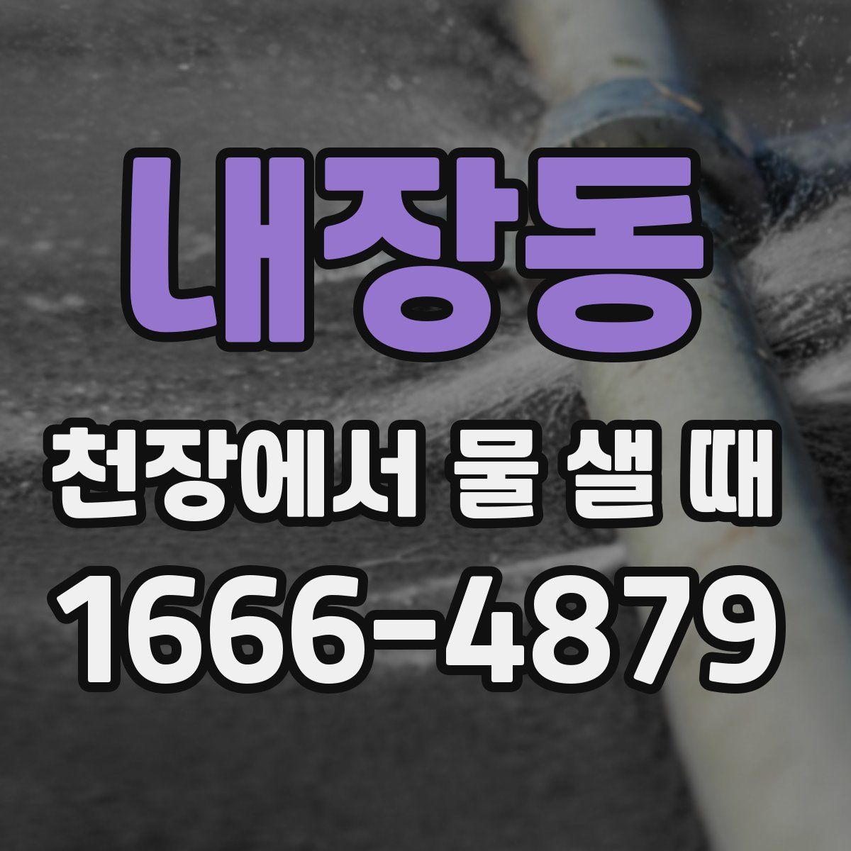 내장동 천장에서 물 샐 때