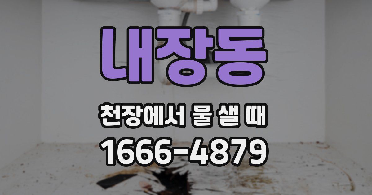 내장동 천장에서 물 샐 때
