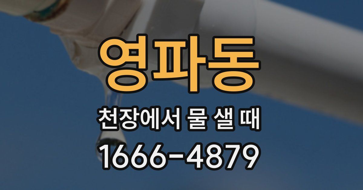영파동 천장에서 물 샐 때