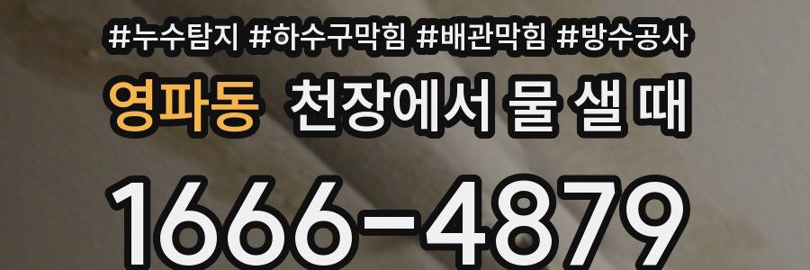 영파동 천장에서 물 샐 때