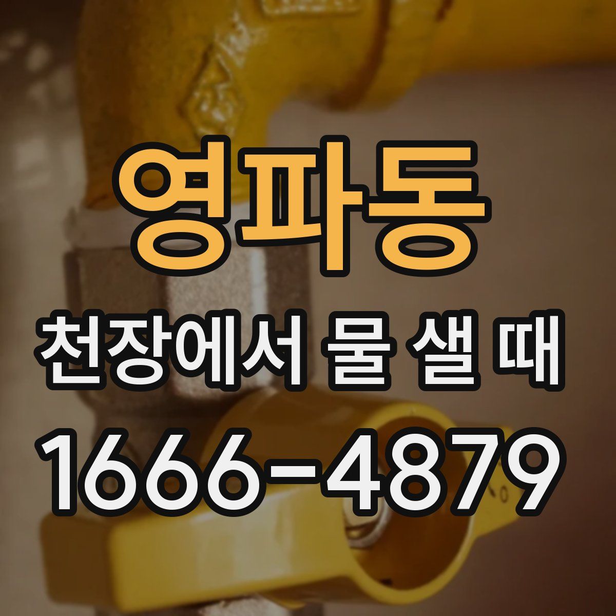 영파동 천장에서 물 샐 때