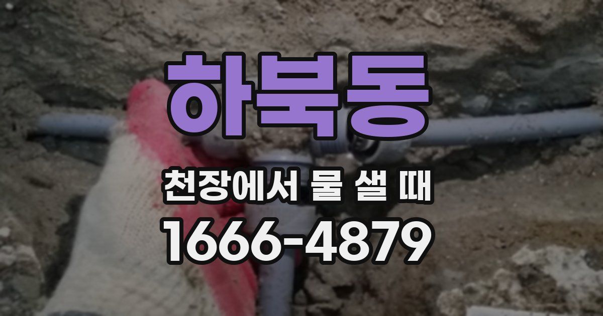 하북동 천장에서 물 샐 때
