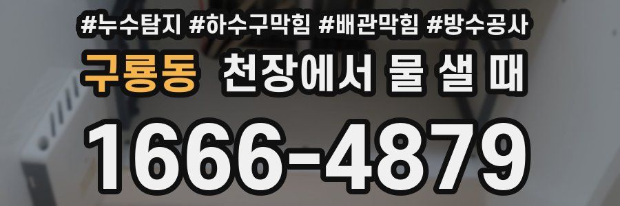 구룡동 천장에서 물 샐 때