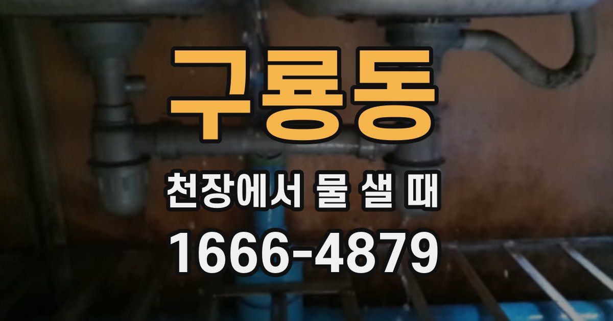 구룡동 천장에서 물 샐 때