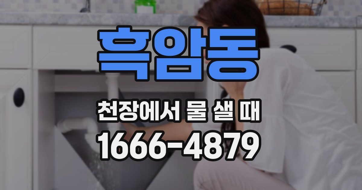 흑암동 천장에서 물 샐 때