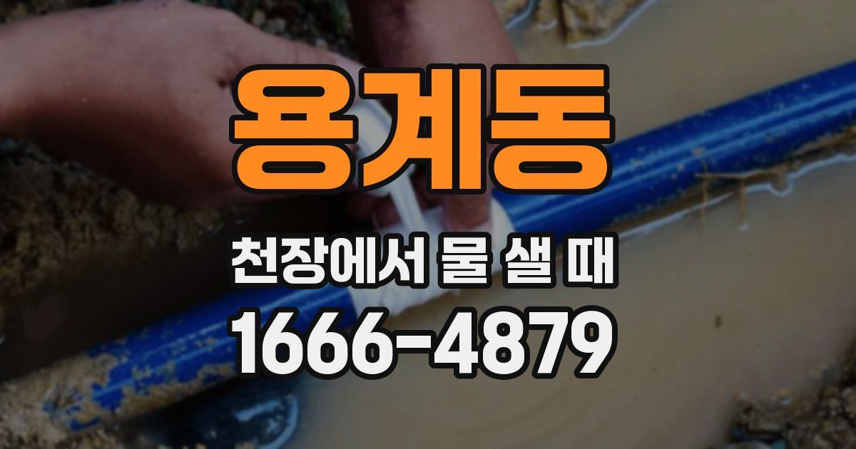 용계동 천장에서 물 샐 때