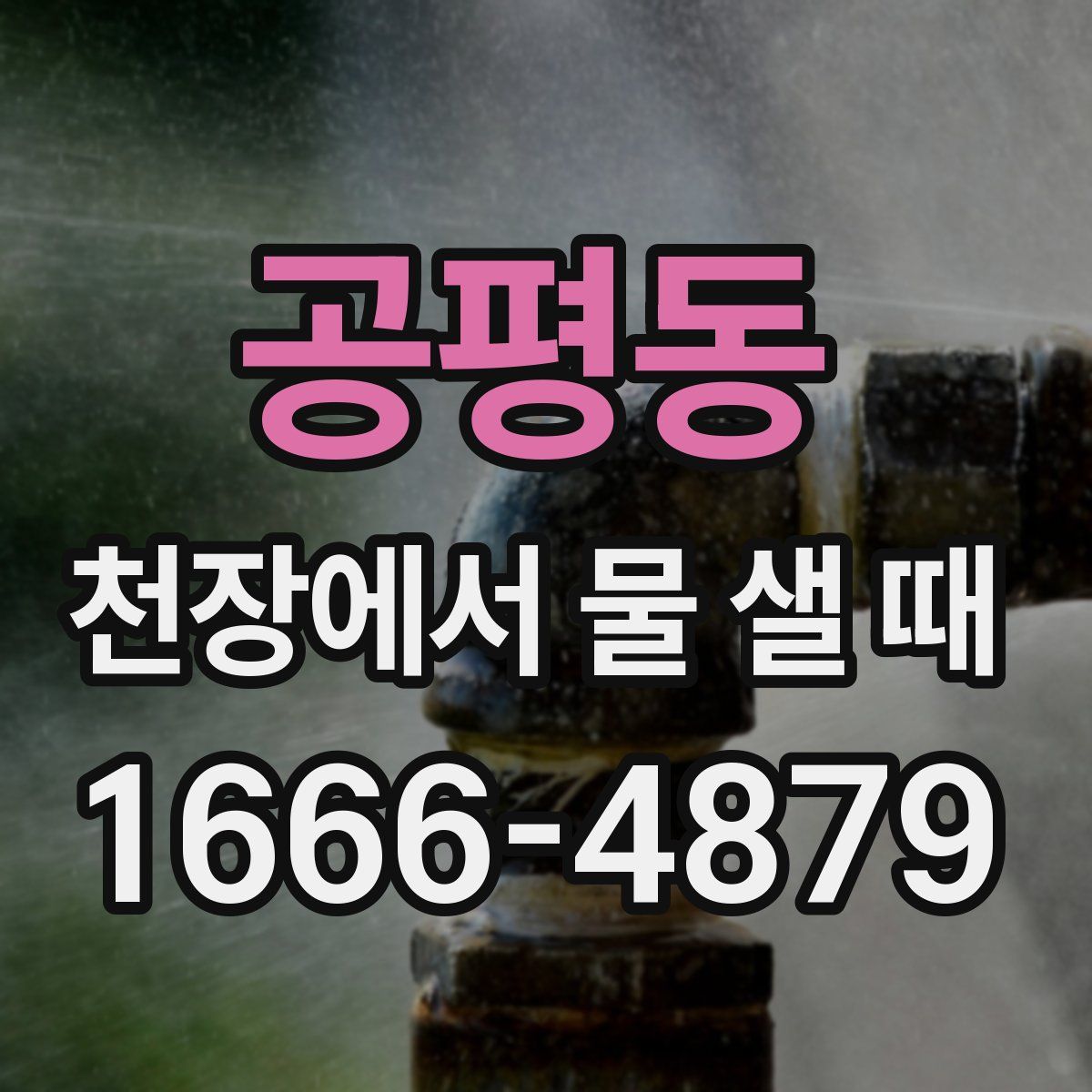 공평동 천장에서 물 샐 때