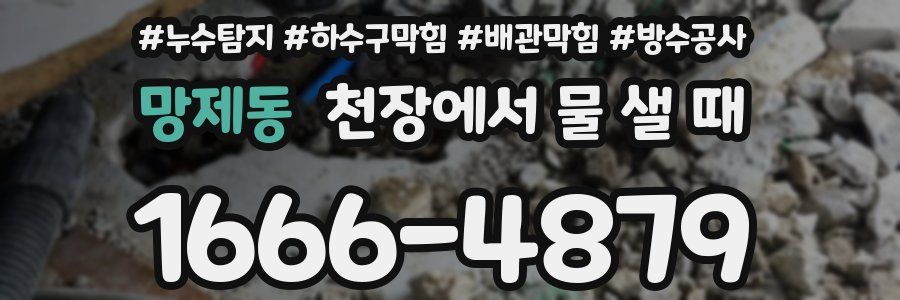 망제동 천장에서 물 샐 때