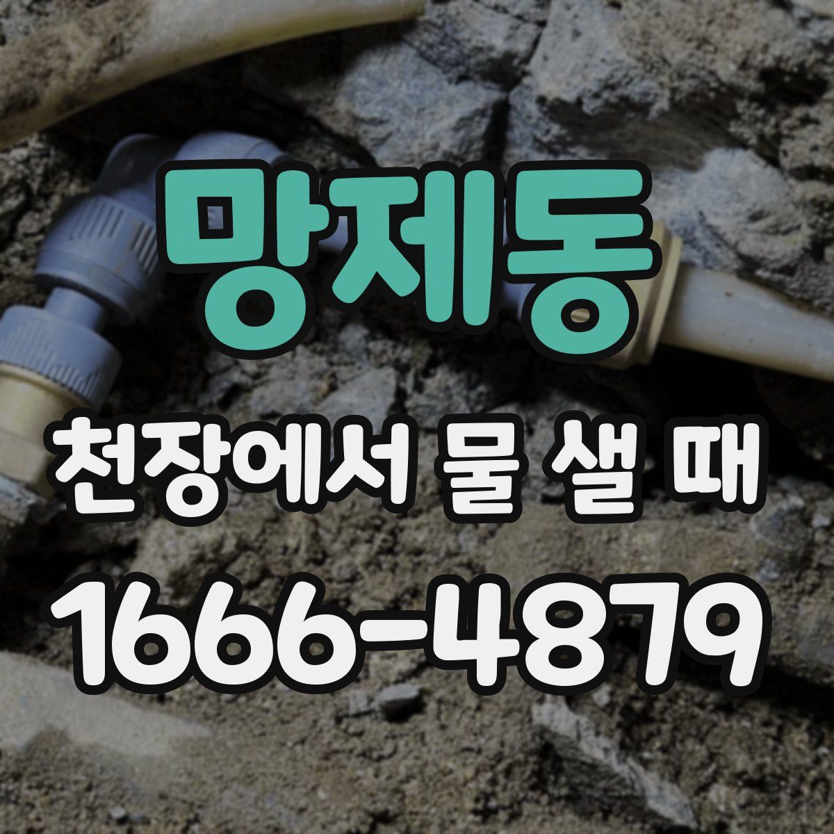 망제동 천장에서 물 샐 때