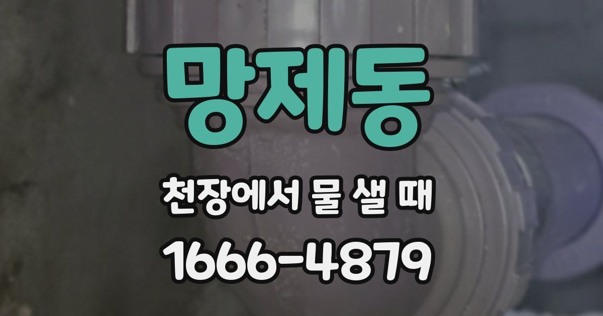 망제동 천장에서 물 샐 때