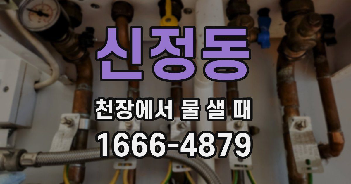 신정동 천장에서 물 샐 때
