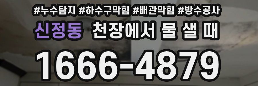 신정동 천장에서 물 샐 때