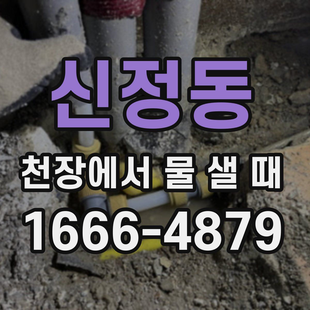 신정동 천장에서 물 샐 때