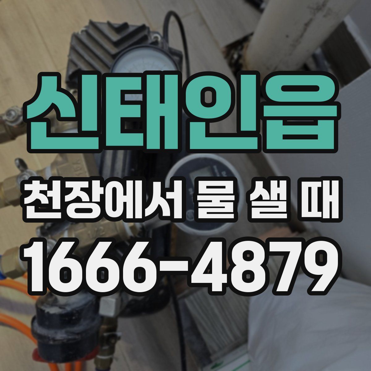 신태인읍 천장에서 물 샐 때