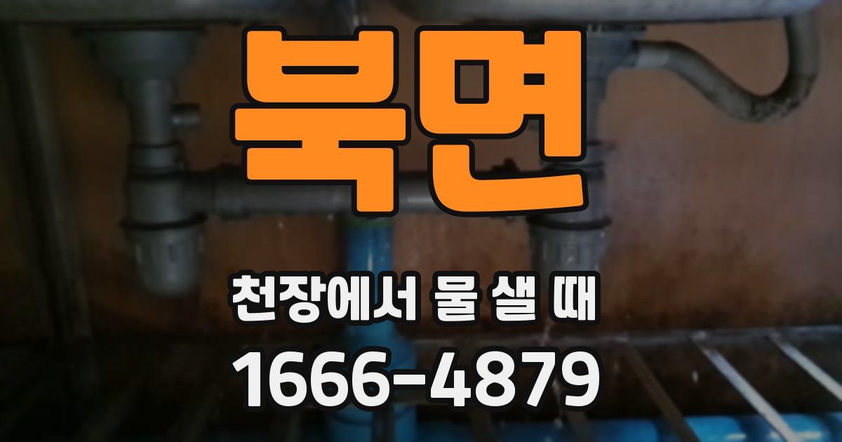 북면 천장에서 물 샐 때