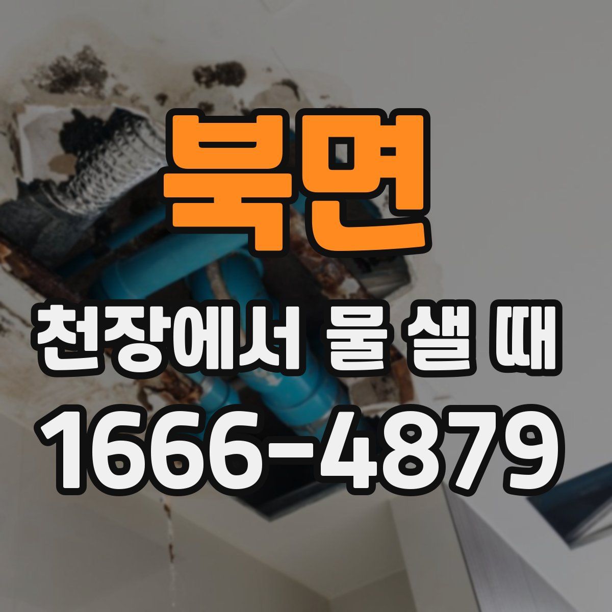 북면 천장에서 물 샐 때