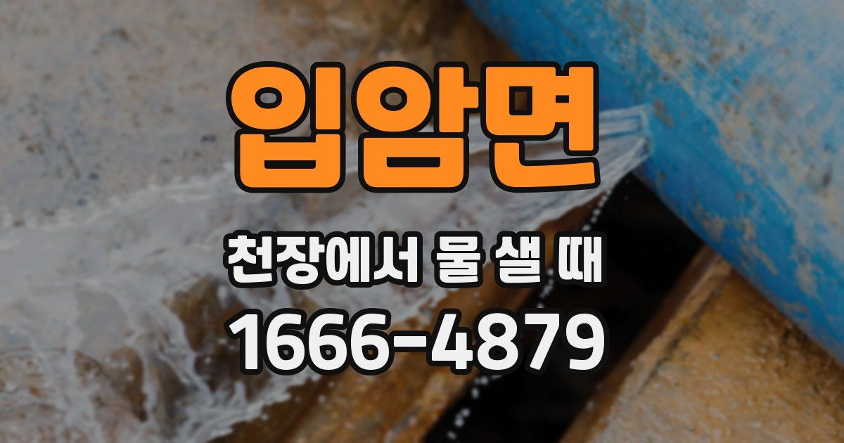 입암면 천장에서 물 샐 때