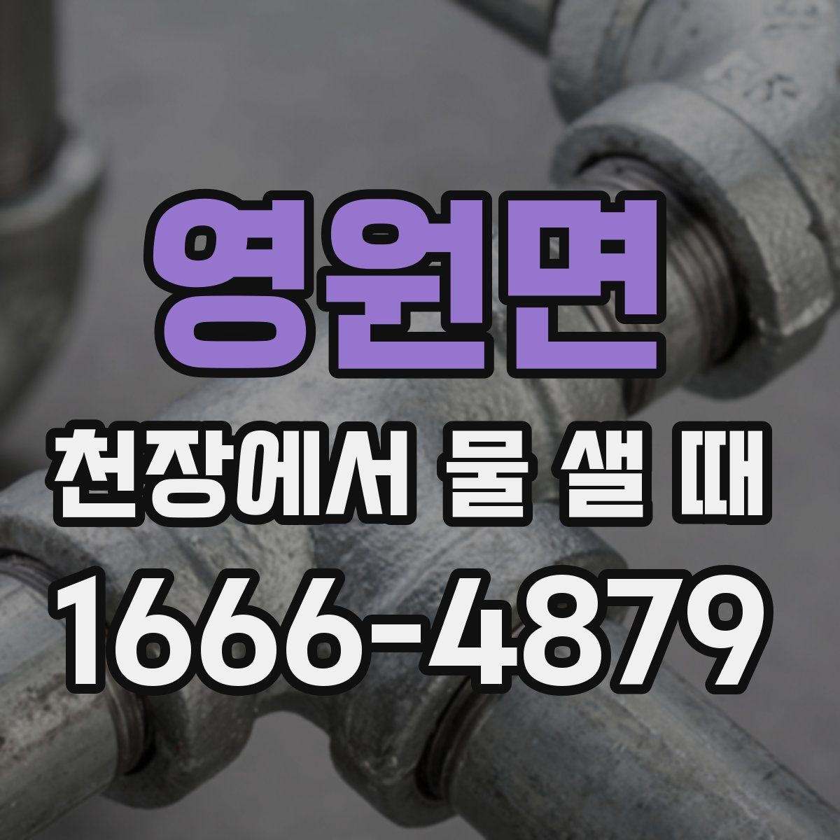 영원면 천장에서 물 샐 때