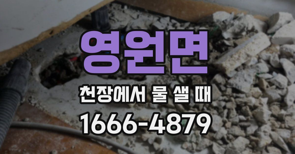 영원면 천장에서 물 샐 때