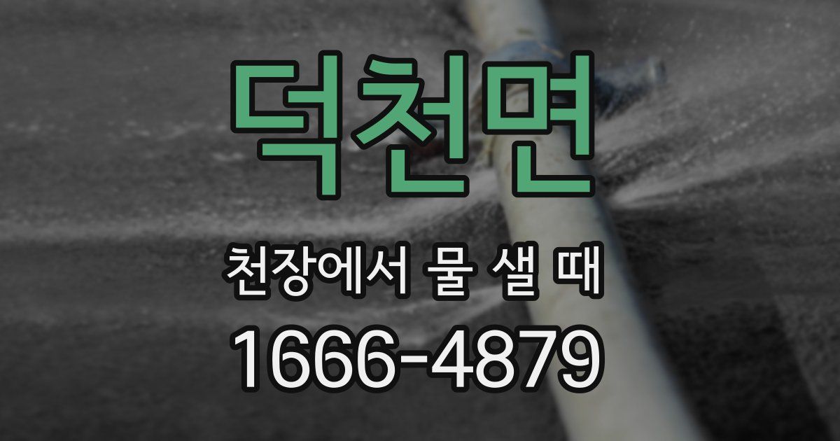 덕천면 천장에서 물 샐 때