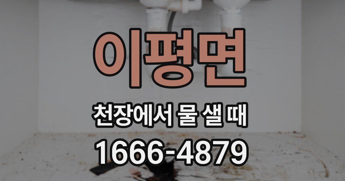 이평면 천장에서 물 샐 때